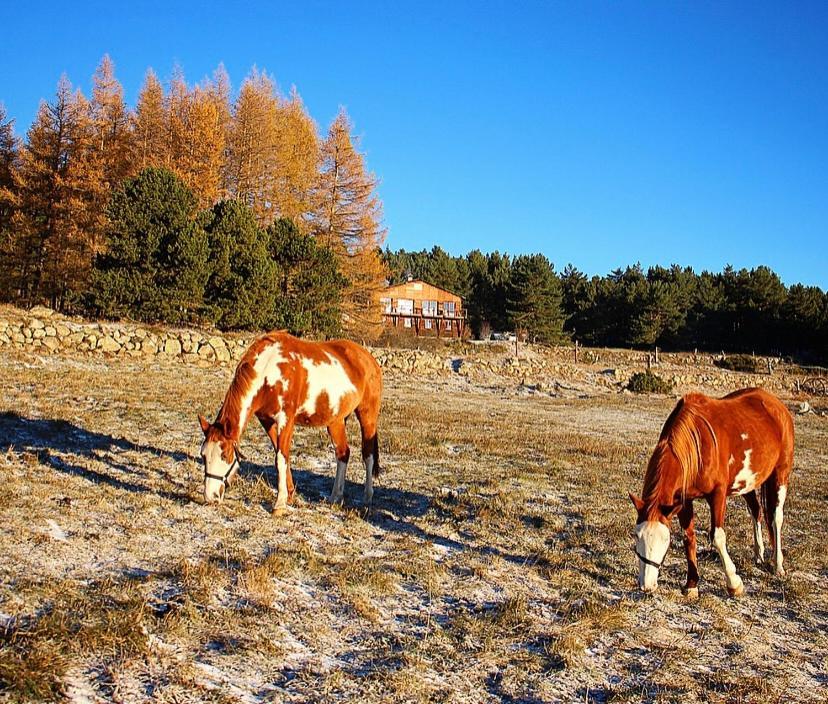 Gite Ranch Le Serpolet Les Angles  Exteriér fotografie