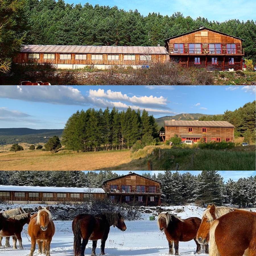 Gite Ranch Le Serpolet Les Angles  Exteriér fotografie